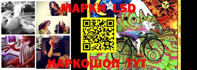 mdpv Гатчина