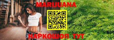 mdpv Гатчина