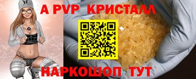 mdpv Гатчина