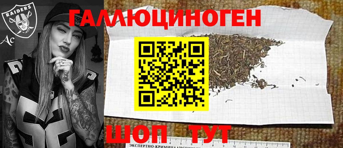 Псилоцибиновые грибы GOLDEN TEACHER  Вход с VPN  Карабулак 